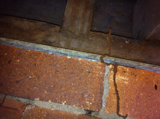Toowoomba Termite Inspection